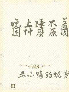 晚上睡不着白天困什么原因