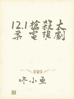 12.1枪杀大案 电视剧封面