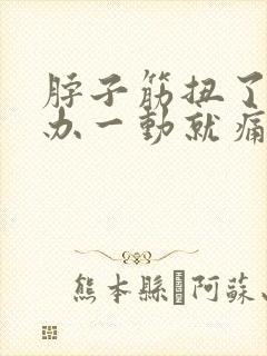 脖子筋扭了怎么办一动就痛