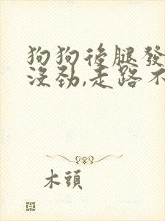 狗狗后腿发软,没劲,走路不稳