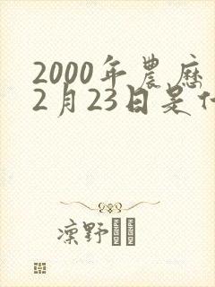 2000年农历2月23日是什么命