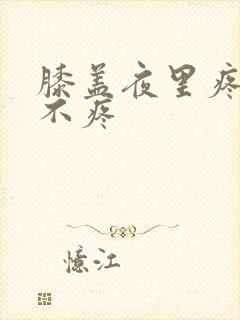 膝盖夜里疼白天不疼封面