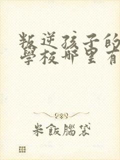 叛逆孩子的正规学校哪里有