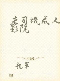 老司机成人午夜影院