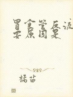 胃食管反流的主要原因是