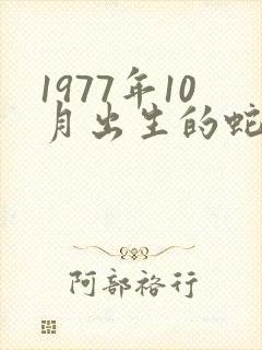 1977年10月出生的蛇命运