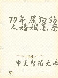 70年属狗的男人婚姻怎么样封面