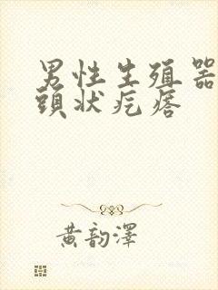 男性生殖器长乳头状疙瘩