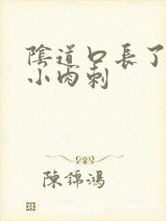 阴道口长了很多小肉刺