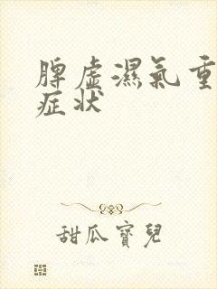 脾虚湿气重表现症状