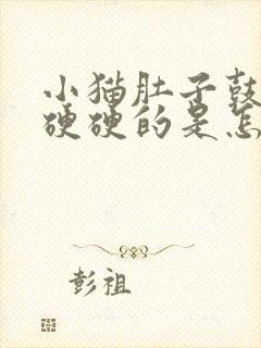 小猫肚子鼓鼓的硬硬的是怎么回事