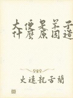 大便是羊子屎是什么原因造成的封面