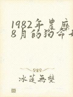 1982年农历8月的狗命好不好