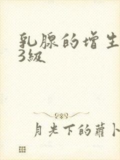 乳腺的增生结节3级