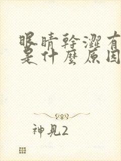 眼睛干涩有眼屎是什么原因引起的