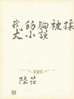 我的胸被揉的好大小说