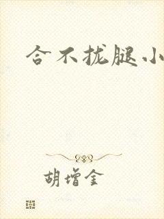 合不拢腿小说