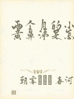 两个月的小狗流黄鼻涕是怎么回事