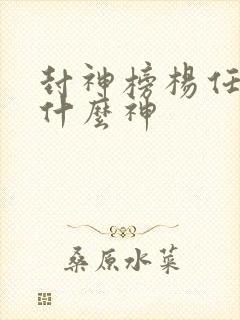 封神榜杨任封的什么神