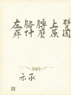 左胳膊上臂外侧疼什么原因