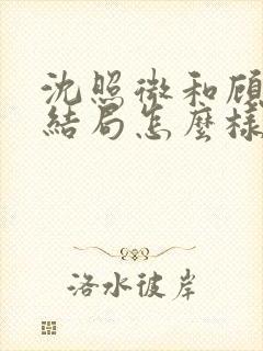 沈照微和顾昕川结局怎么样封面