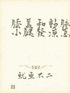 膝盖和动脉闭塞小腿发凉怎么回事