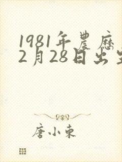 1981年农历2月28日出生的女命