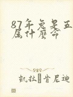 87年兔是五行属什么命