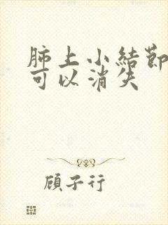 肺上小结节中医可以消失