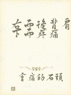 右面后背肩胛骨下面疼痛