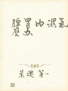 脾胃内湿气重怎么办