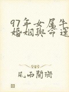 97年女属牛的婚姻与命运