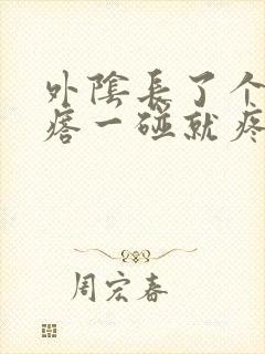 外阴长了个硬疙瘩一碰就疼