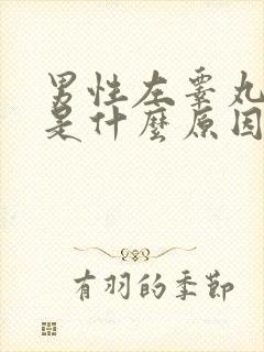 男性左睾丸疼痛是什么原因