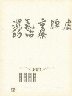 湿气重脾虚气虚的治疗