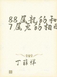 88属龙的和87属兔的相配吗