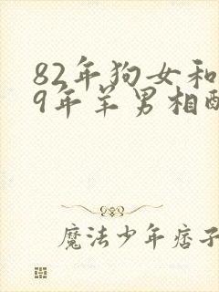 82年狗女和79年羊男相配婚姻如何
