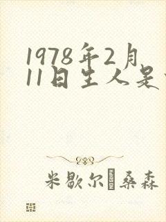 1978年2月11日生人是什么命
