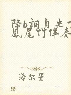 降b调月光下的凤尾竹伴奏曲