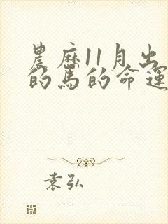 农历11月出生的马的命运