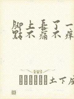 脚上长了一些红点不痛不痒封面