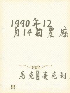 1990年12月14日农历是什么命