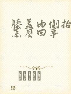 膝盖内侧抬腿疼怎么回事