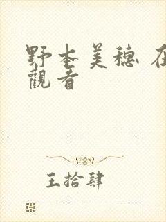 野本美穗 在线观看