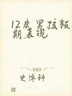 12岁男孩叛逆期表现