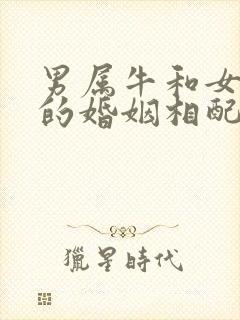 男属牛和女属鸡的婚姻相配吗