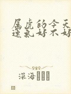 属虎的今天打牌运气好不好