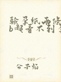 验孕纸两条杠但b超看不到孕囊