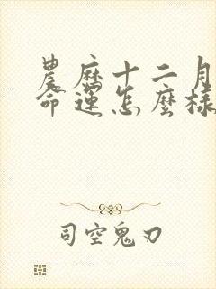 农历十二月的羊命运怎么样封面