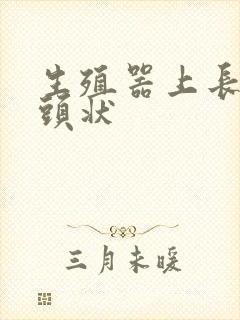 生殖器上长了乳头状